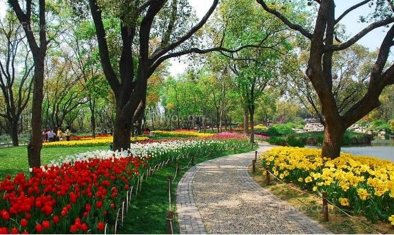 雪后，對受“硬傷”和“軟傷”的苗木 怎么養(yǎng)護