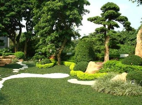 技術|開春園林綠化養護重點工作