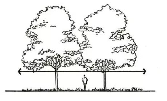 干貨 | 一文看懂，園林景觀植物設計！
