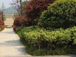 園林設計的原則一般有什么呢？