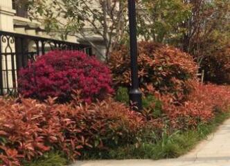 在園林設計布局中，色彩因素要注意什么？