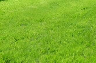 依其用途，草坪可分為幾類呢？